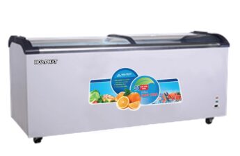 Tủ đông Hòa Phát với mã HCF-500S1PDG